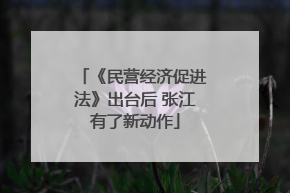 《民营经济促进法》出台后 张江有了新动作