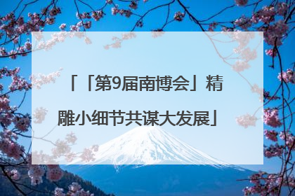 「第9届南博会」精雕小细节共谋大发展