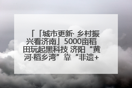 「城市更新· 乡村振兴看济南」5000亩稻田玩起黑科技 济阳“黄河·稻乡湾”靠“非遗+露营”火出圈