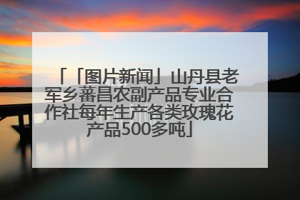 「图片新闻」山丹县老军乡蕃昌农副产品专业合作社每年生产各类玫瑰花产品500多吨