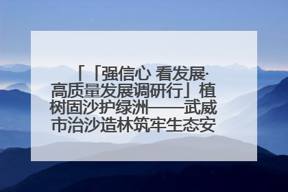 「强信心 看发展·高质量发展调研行」植树固沙护绿洲——武威市治沙造林筑牢生态安全屏障见闻