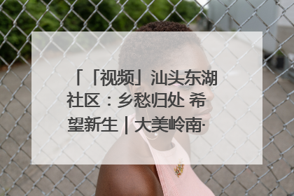 「视频」汕头东湖社区：乡愁归处 希望新生｜大美岭南·百村焕新记