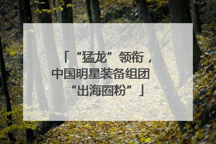 “猛龙”领衔，中国明星装备组团“出海圈粉”