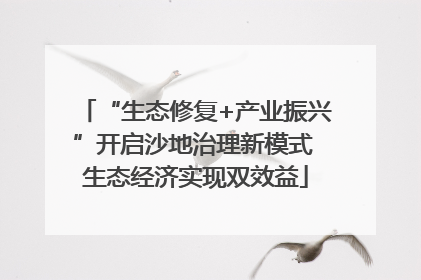“生态修复+产业振兴”开启沙地治理新模式 生态经济实现双效益