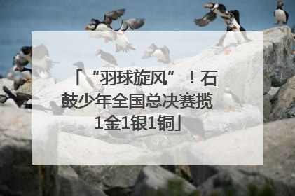 “羽球旋风”！石鼓少年全国总决赛揽1金1银1铜