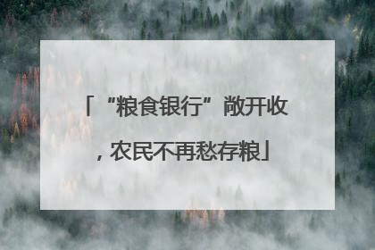 “粮食银行”敞开收，农民不再愁存粮