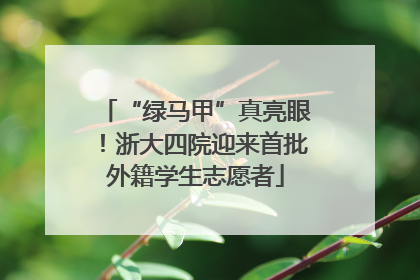 “绿马甲”真亮眼！浙大四院迎来首批外籍学生志愿者