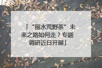 “丽水荒野茶”未来之路如何走？专题调研近日开展