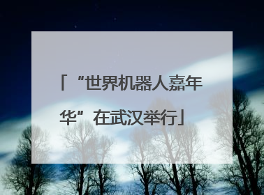“世界机器人嘉年华”在武汉举行