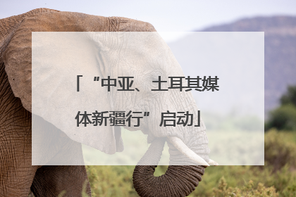 “中亚、土耳其媒体新疆行”启动