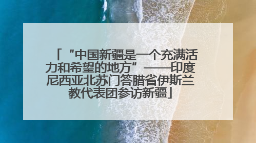 “中国新疆是一个充满活力和希望的地方”——印度尼西亚北苏门答腊省伊斯兰教代表团参访新疆