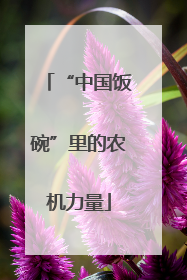 “中国饭碗”里的农机力量