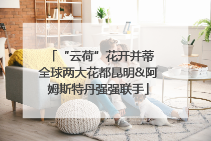 “云荷”花开并蒂 全球两大花都昆明&阿姆斯特丹强强联手