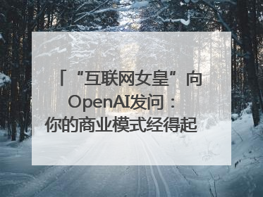 “互联网女皇”向OpenAI发问：你的商业模式经得起价格战考验么？
