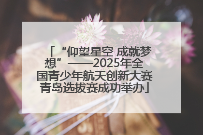 “仰望星空 成就梦想”——2025年全国青少年航天创新大赛青岛选拔赛成功举办