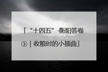 “十四五”·衡阳答卷③｜收粮时的小插曲