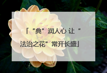 “典”润人心 让“法治之花”常开长盛