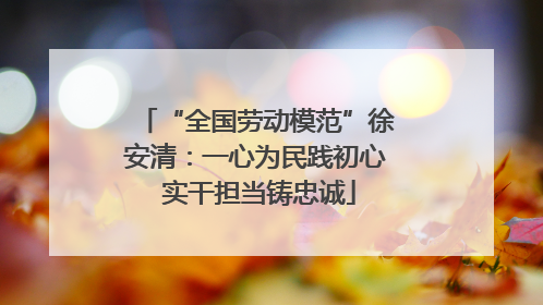 “全国劳动模范”徐安清：一心为民践初心 实干担当铸忠诚