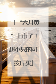 “六月黄”上市了！超小只的可按斤买