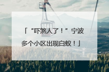 “吓煞人了！”宁波多个小区出现白蚁！