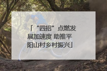“四招”点燃发展加速度 助推平阳山村乡村振兴