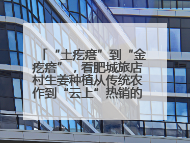 “土疙瘩”到“金疙瘩”，看肥城旅店村生姜种植从传统农作到“云上”热销的蝶变之路