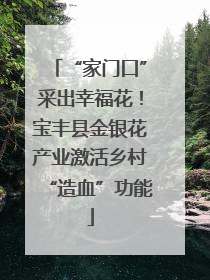 “家门口”采出幸福花！宝丰县金银花产业激活乡村“造血”功能