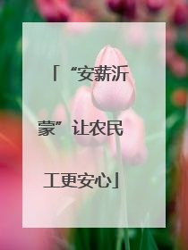 “安薪沂蒙”让农民工更安心