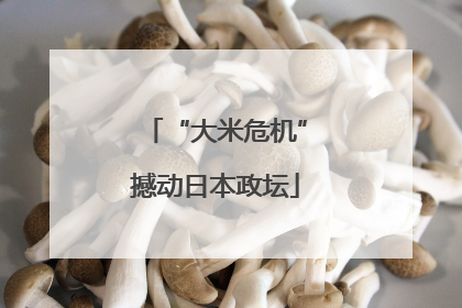 “大米危机”撼动日本政坛