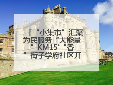 “小集市”汇聚为民服务“大能量”KM15′“香”街子学府社区开集迎端午