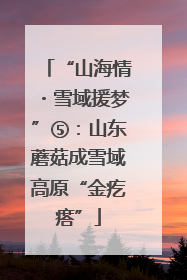 “山海情・雪域援梦”⑤：山东蘑菇成雪域高原“金疙瘩”