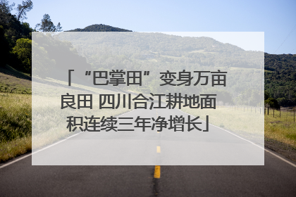 “巴掌田”变身万亩良田 四川合江耕地面积连续三年净增长