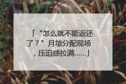 “怎么就不能返还了？”月壤分配现场，压迫感拉满……