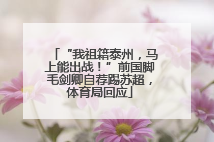 “我祖籍泰州，马上能出战！”前国脚毛剑卿自荐踢苏超，体育局回应