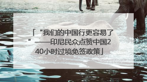 “我们的中国行更容易了”——印尼民众点赞中国240小时过境免签政策