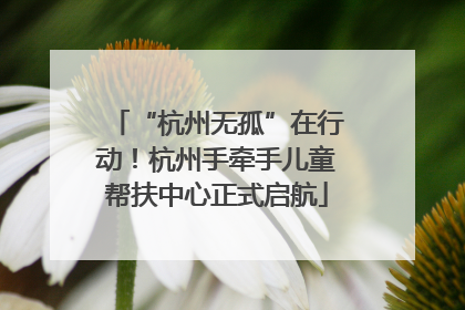 “杭州无孤”在行动！杭州手牵手儿童帮扶中心正式启航