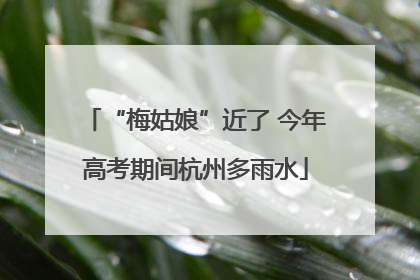 “梅姑娘”近了 今年高考期间杭州多雨水