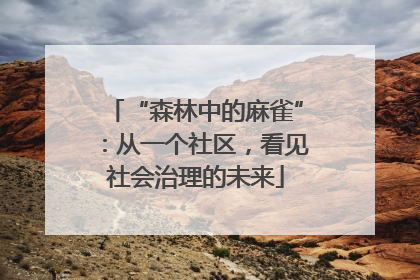 “森林中的麻雀”：从一个社区，看见社会治理的未来