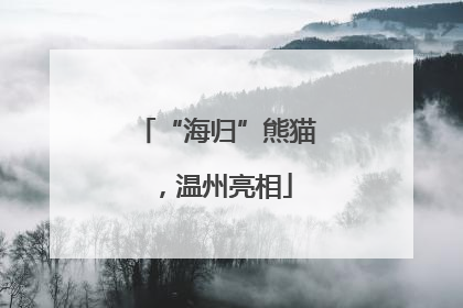 “海归”熊猫，温州亮相