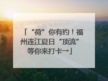 “荷”你有约！福州连江夏日“顶流”等你来打卡→