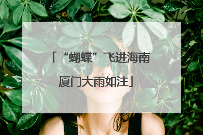 “蝴蝶”飞进海南 厦门大雨如注