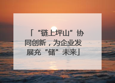“链上坪山”协同创新，为企业发展充“储”未来