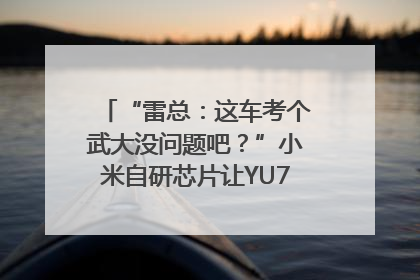 “雷总：这车考个武大没问题吧？”小米自研芯片让YU7会学习｜汽车科技