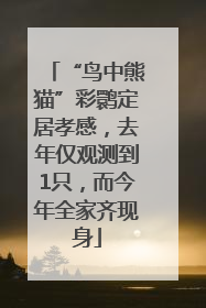 “鸟中熊猫”彩鹮定居孝感，去年仅观测到1只，而今年全家齐现身