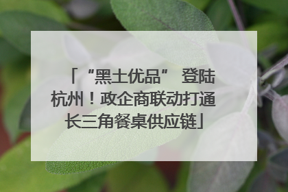 “黑土优品” 登陆杭州！政企商联动打通长三角餐桌供应链