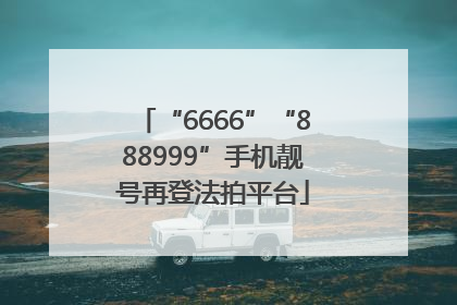 “6666”“888999”手机靓号再登法拍平台