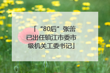 “80后”张蕾已出任镇江市委市级机关工委书记