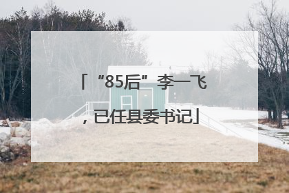 “85后”李一飞，已任县委书记