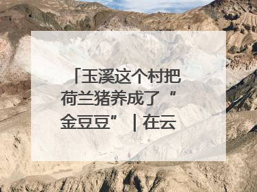 玉溪这个村把荷兰猪养成了“金豆豆”｜在云南样样好