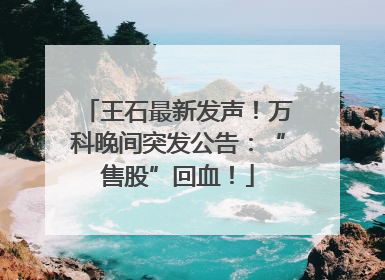 王石最新发声！万科晚间突发公告：“售股”回血！